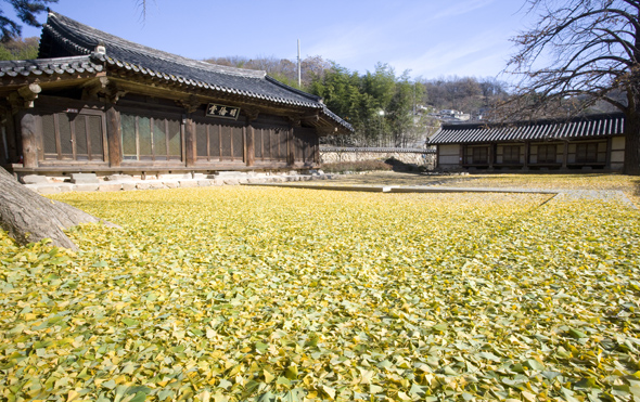 전주 아침정원 게스트하우스 